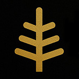 گالری کاج